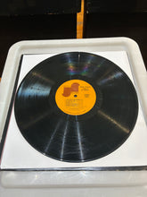 Load image into Gallery viewer, Minnie Riperton - Come To My Garden (LP, Album, RE)
