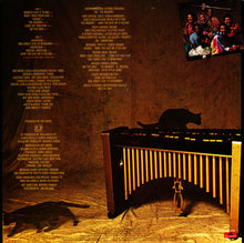 Load image into Gallery viewer, Roy Ayers Ubiquity – Vibrations