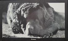 Load image into Gallery viewer, Jefferson Airplane – Crown Of Creation