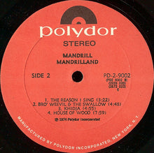 Load image into Gallery viewer, Mandrill – Mandrilland