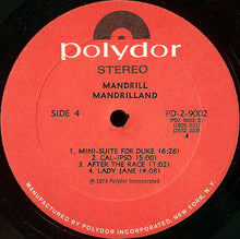Load image into Gallery viewer, Mandrill – Mandrilland