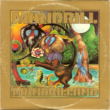 Load image into Gallery viewer, Mandrill – Mandrilland