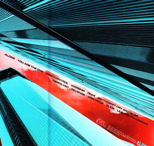 Load image into Gallery viewer, A Place To Bury Strangers – Worship