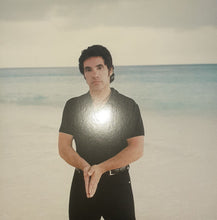 Load image into Gallery viewer, Daryl Hall &amp; John Oates – Marigold Sky