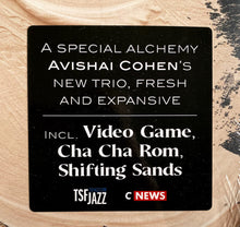 Load image into Gallery viewer, Avishai Cohen Trio – Shifting Sands