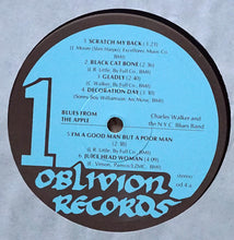 Load image into Gallery viewer, Charles Walker and the New York City Blues Band – Blues From the Apple