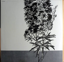 Load image into Gallery viewer, Antonio Carlos Jobim – Stone Flower